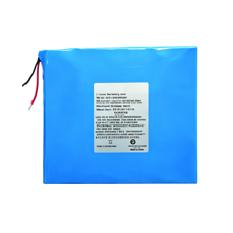 Lithium Polymer Battery Pack 